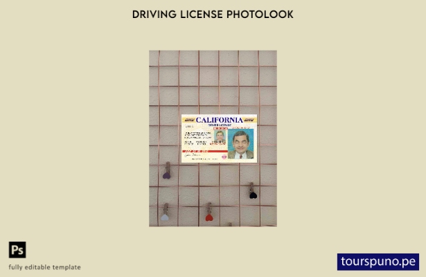 listo para imprimir plantilla FRONTAL de fotolook de la versión del permiso de 7